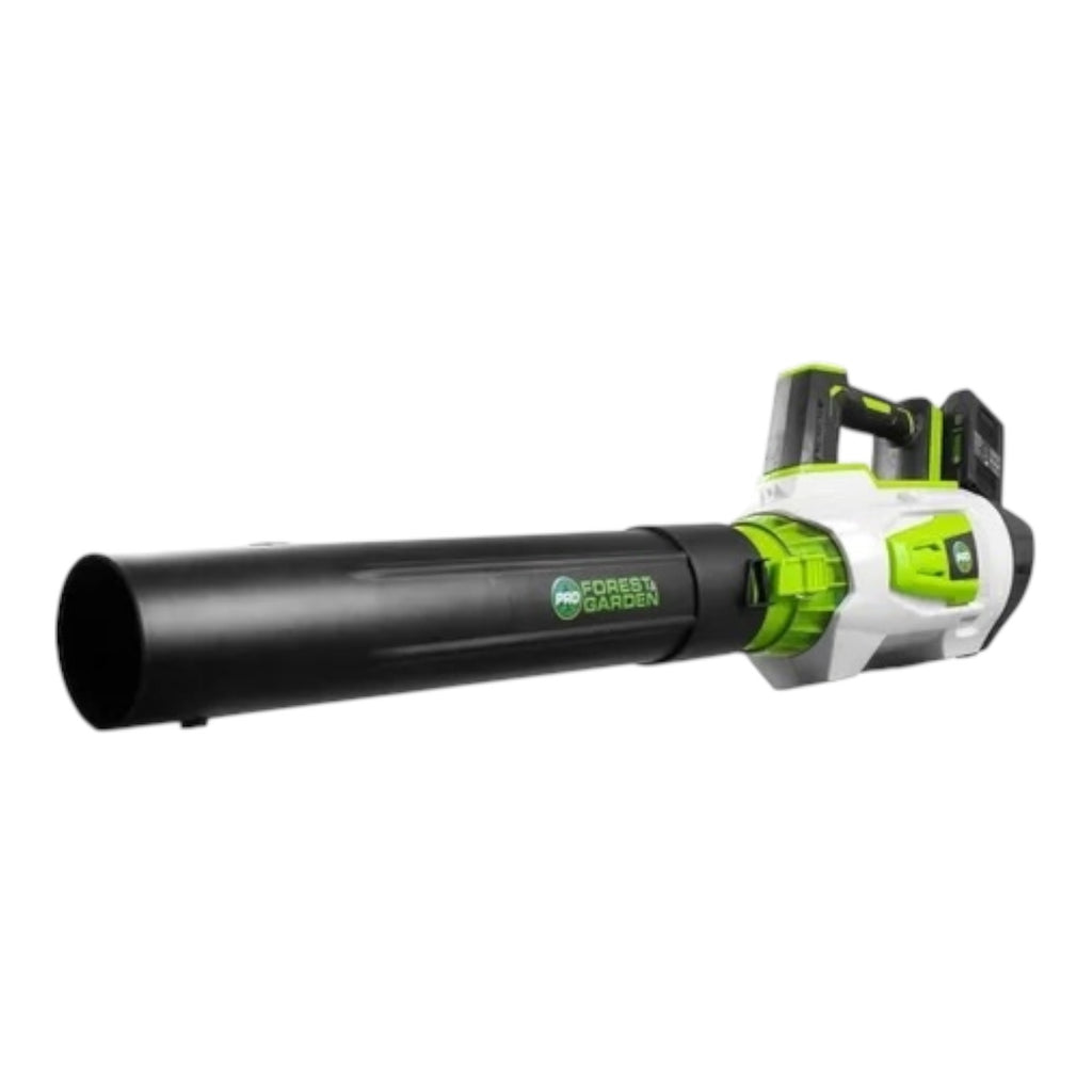 Sopladora recargable Forest & Garden S-106740 20V